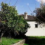 Olive Grove House