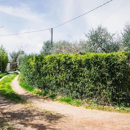 Olive Grove House * Castrovillari