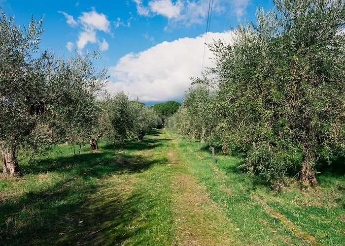 Holiday home Olive Grove House *